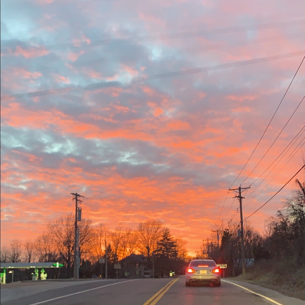 Meet your Posher, Tessa